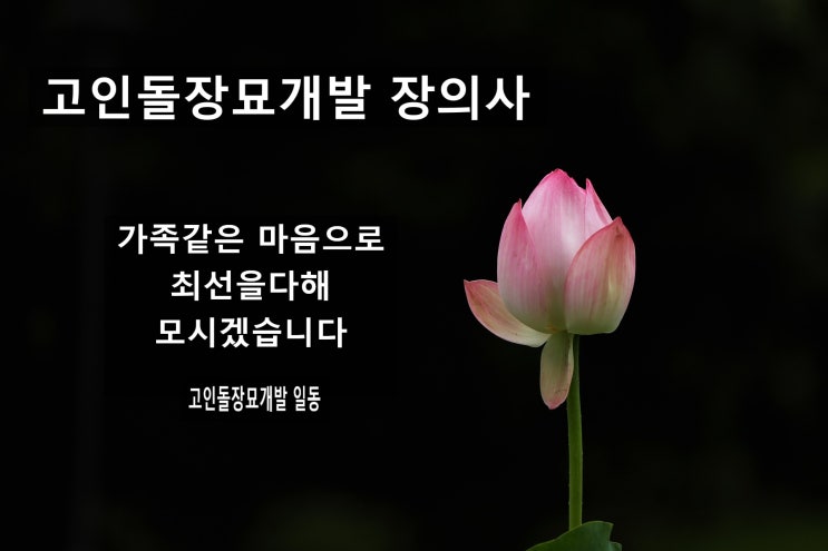 고인돌 장묘 개발 장의사
