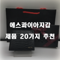 (쇼핑정보) 에스콰이아지갑 물품 추천 순위 리스트!!