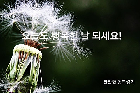 포맨남성미용실 이미지
