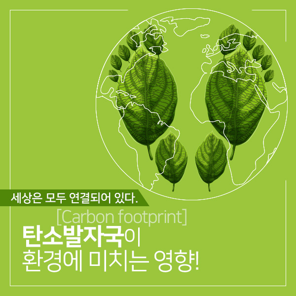  세상은 모두 연결되어 있다. 탄소발자국(Carbon footprint)이 환경에 미치는 영향!