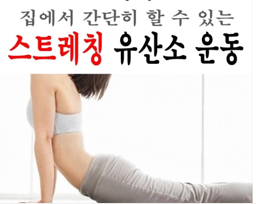  집에서 간단히 할 수 있는 스트레칭 유산소운동