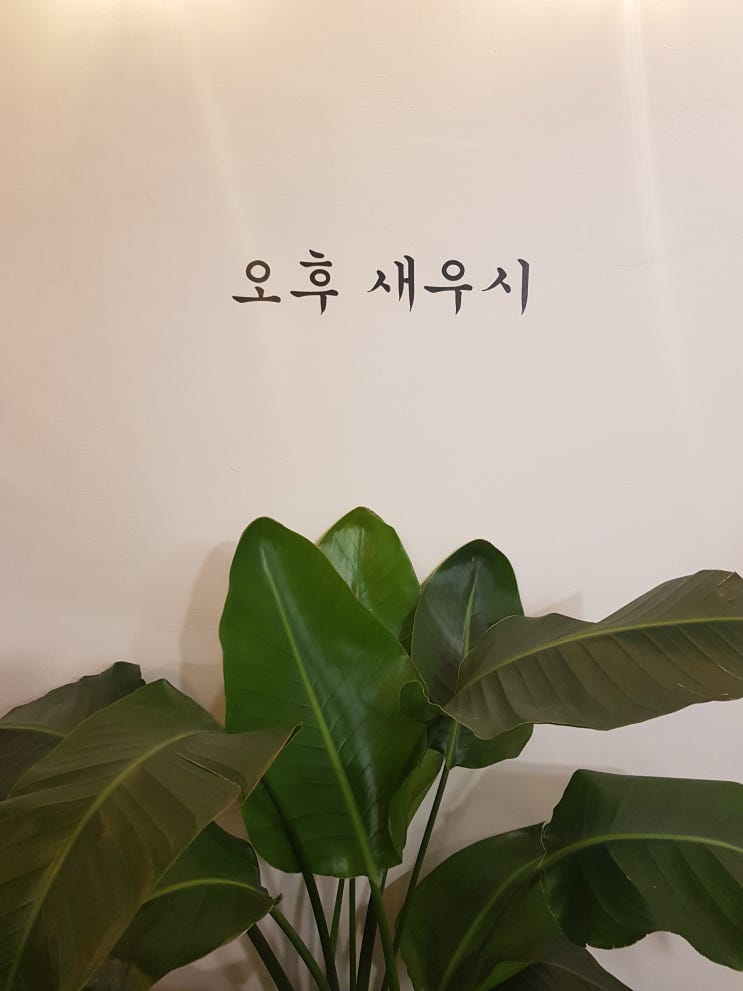  제주공항김밥 포장해서 먹기 좋은 오후새우시