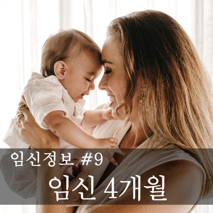 [임신정보] 예비 엄마,아빠의 임신공부  -임신 안정기(임신 4개월)