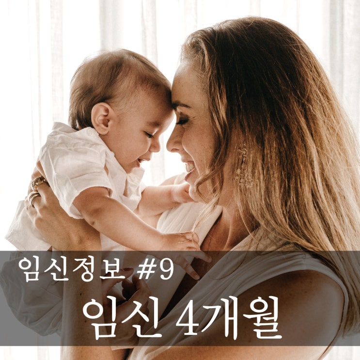  [임신정보] 예비 엄마,아빠의 임신공부  -임신 안정기(임신 4개월)