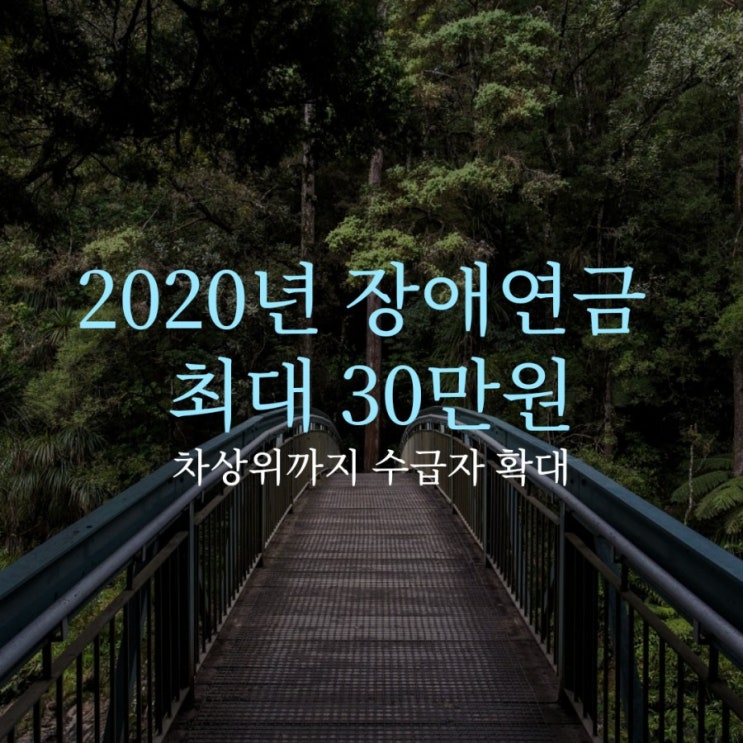 월 최대 30만 원 받는 장애인연금<기초급여액> 수급자 확대