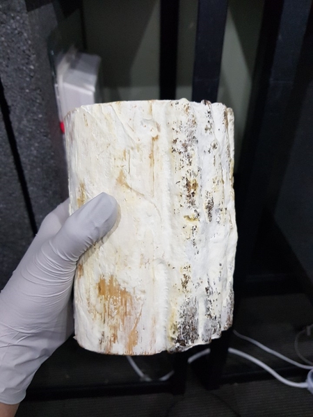  [Bs] 곰팡이 뚜까패는 폭산목(기와재) 사용방법