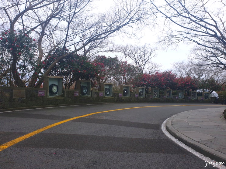 제주도 가볼만한 곳 서귀포시에 위치한 세계 자동차 & 피아노 박물관!! 아이들과 함께 가기에도 정말 좋은 곳