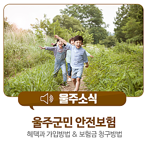 울주군민 안전보험 혜택과 가입방법 & 보험금 청구방법
