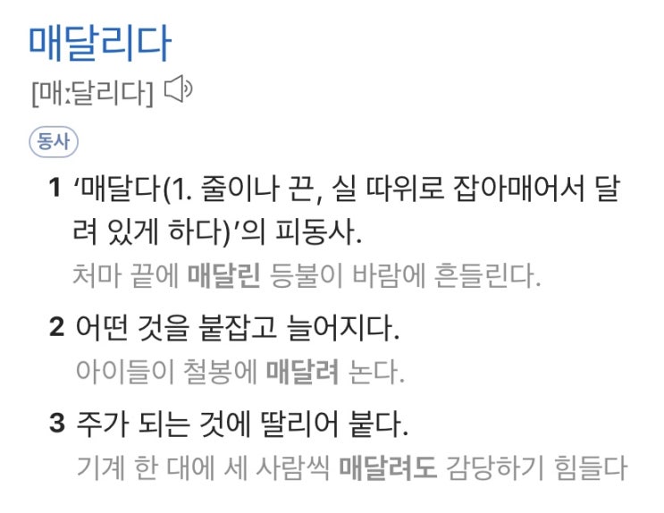  [맞춤법] 매달리다 메달리다 충격 바른말