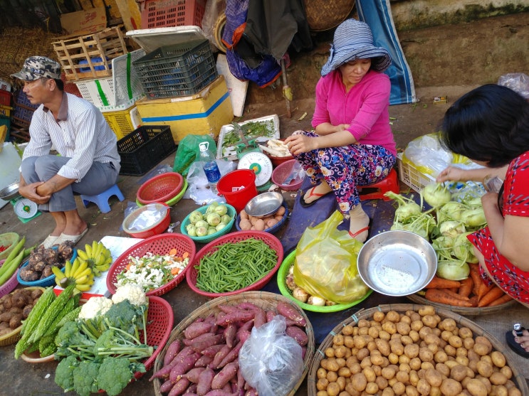 베트남 다낭 뗏 기간 (구정연휴) 로컬시장과 거리 풍경