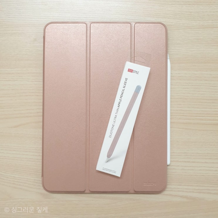 [ipad] 애플펜슬 2세대 실리콘 케이스 : 아하스타일 듀오톤 6개월 사용 후기