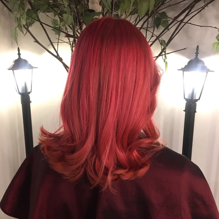  홍대염색 할땐 까헤어! 레드 컬러 빨간 머리 염색  hongdae hairsalon Red hair color
