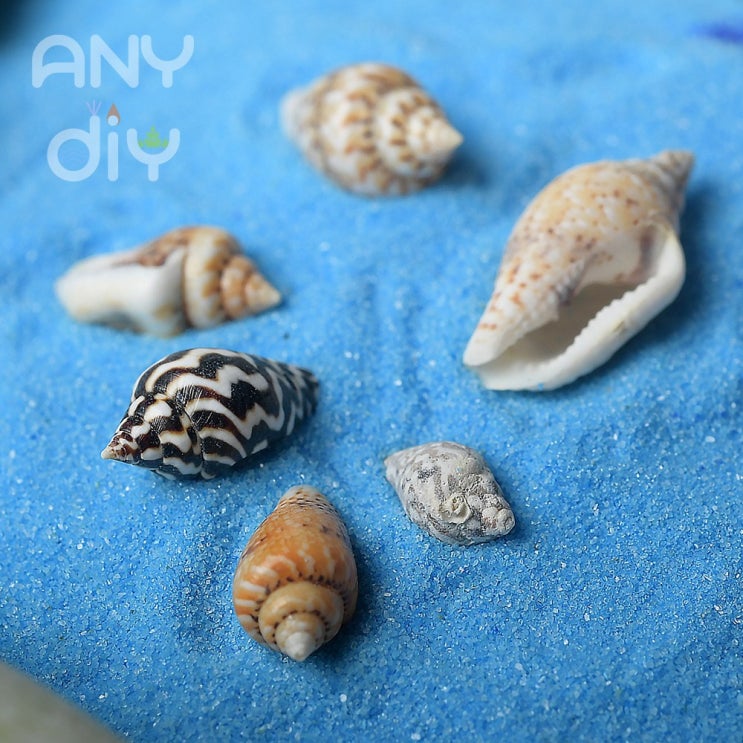 [홈인테리어]  ANYDIY 젤캔들 만들기 재료 무늬소라 30g 디퓨저 가랜더 캔들