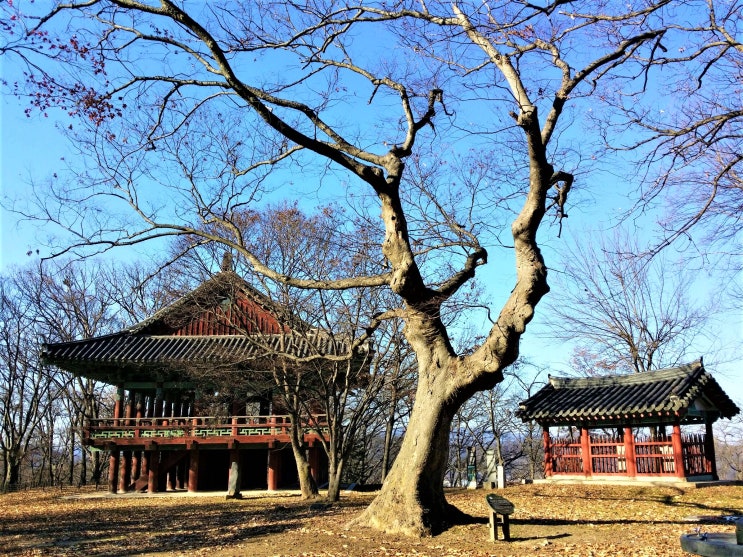  공주 가볼만한곳 세계유산 백제역사유적지 공산성..