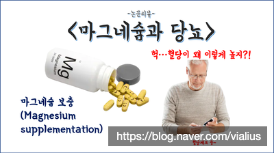 [영양제]마그네슘과 당뇨(feat.논문 리뷰)