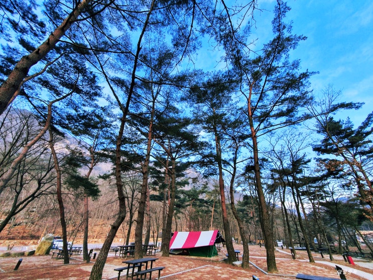  월악산국립공원닷돈재자동차야영장(20.01.17~20.01.19)