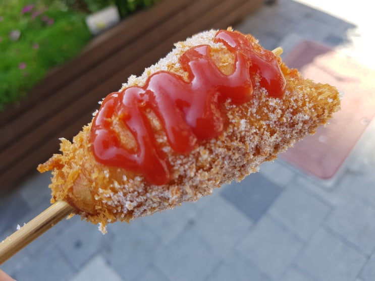  세종 조치원 스마일 찰진꽈배기 핫도그 먹방