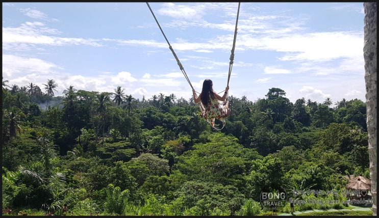  [발리/우붓] 우붓에서 인생샷 건지기 위한 필수 장소 - 알로하스윙 (Aloha Ubud Swing)