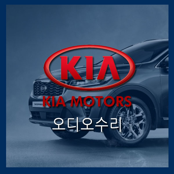  [카오디오수리]오피러스카오디오 순정앰프 HAPD-82GH4 침수에 의한 고장 수리