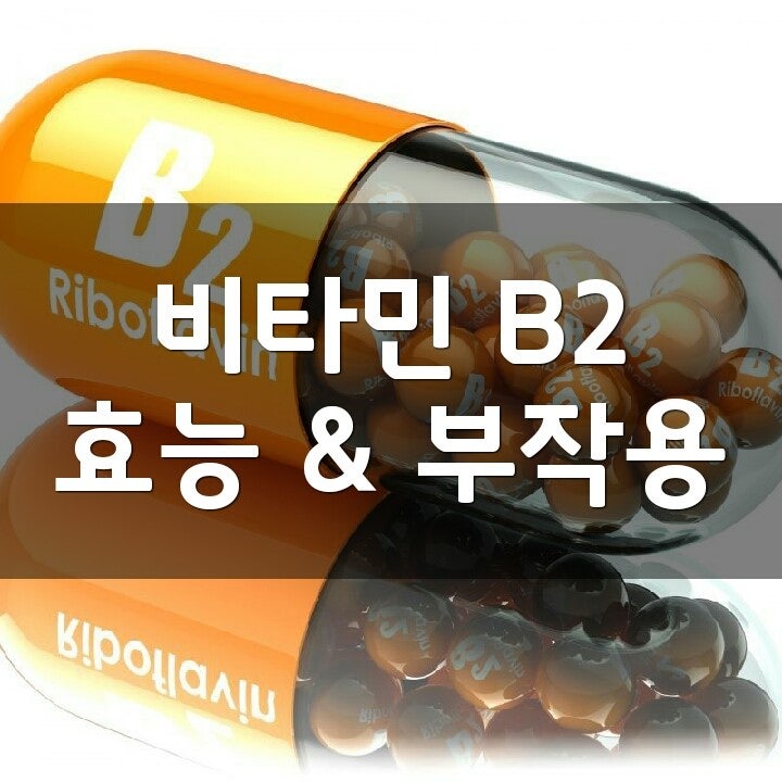 비타민b2 효능 및 음식물(리보플라빈)