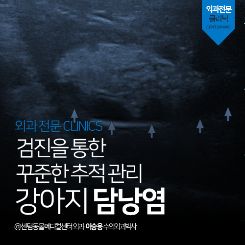  [외과] 강아지 담낭염 - 검진을 통한 꾸준한 추적관리 (부산 연제구 거제동 연산동 수술 전문 동물병원)