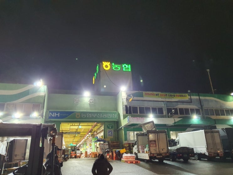  농산물 공판장 부산 엄궁도매시장 다녀오다