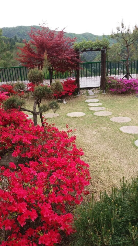 Yangjipensyeon photo 6