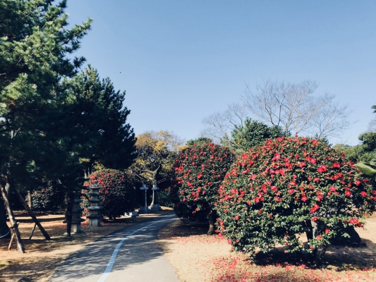 제주 일출랜드 에 런닝맨이 왔다고?