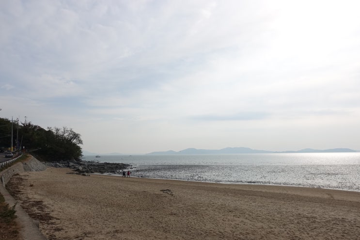  생리통 심할때 허리통증 원인과 치료
