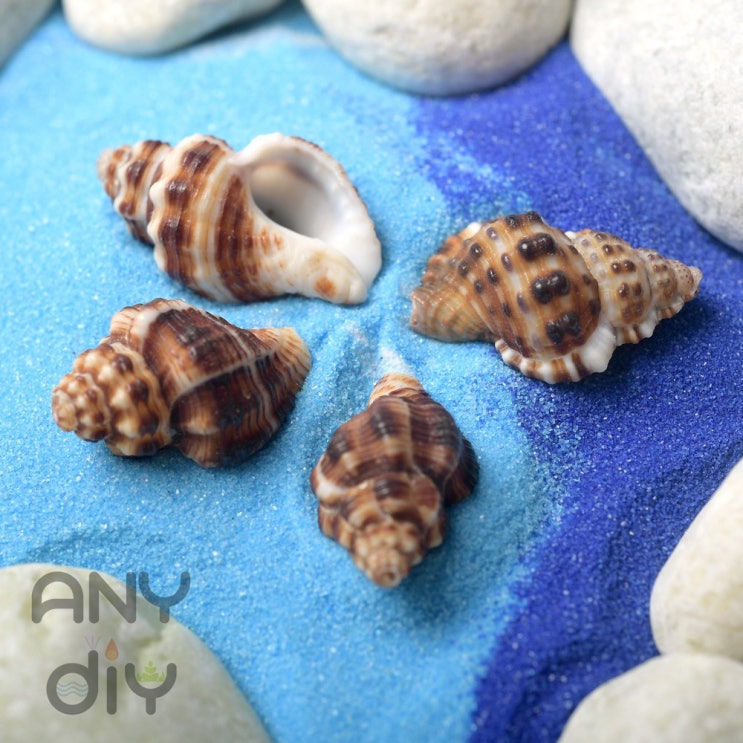  [홈인테리어]  ANYDIY 젤캔들 만들기 재료 전투 소라 30g 디퓨저 가랜더 캔들
