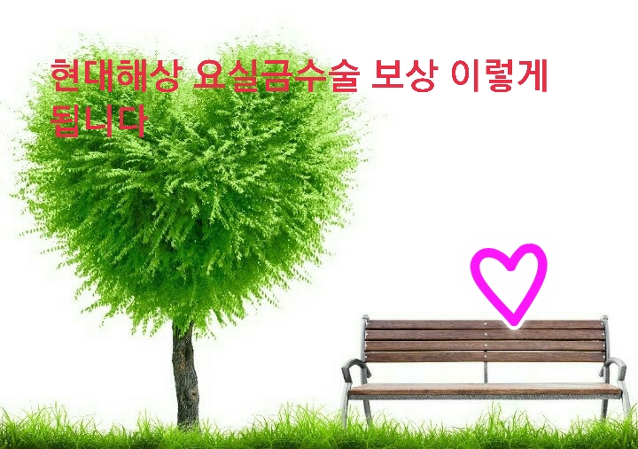  현대해상 요실금수술 보상  이렇게 됩니다