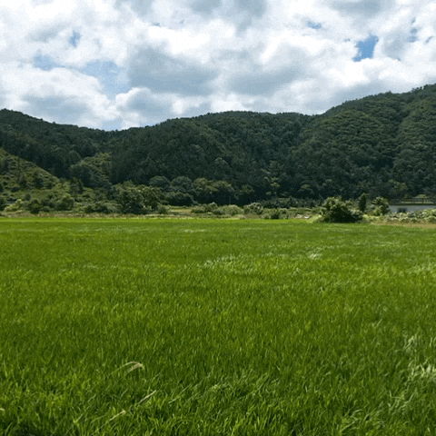 [븅화블로그&블로그씨]힐링되는 시골 풍경:경기도 양평