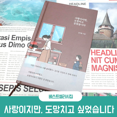 베스트셀러시집 김지훈작가 사랑이지만, 도망치고 싶었습니다
