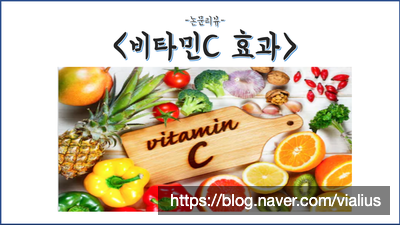 [영양제]비타민C의 효과(feat.논문 리뷰)
