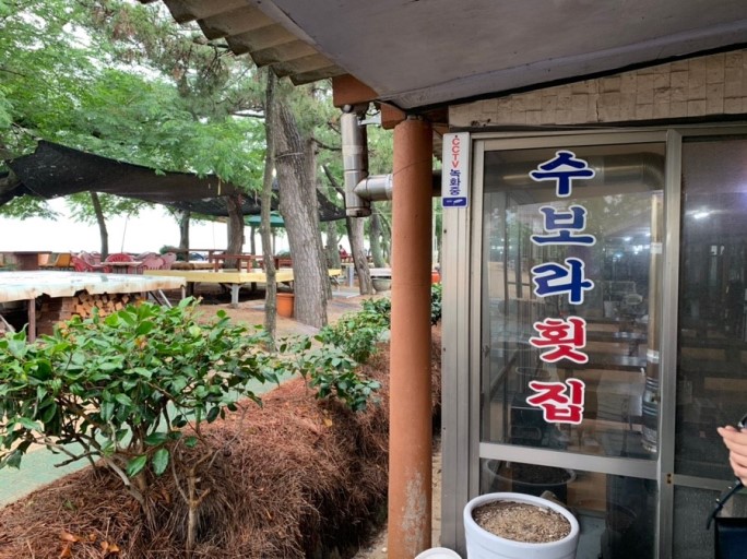  (목포맛집)목포 무안 수보라횟집 박나래 닭집, 박나래 간 식당  추천