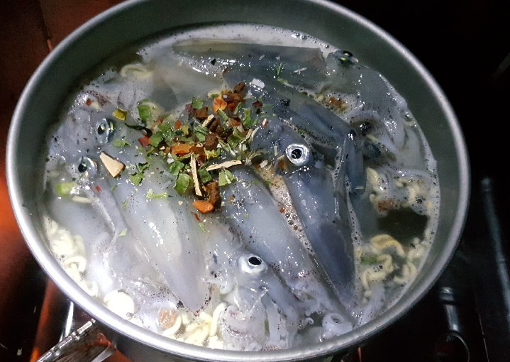  겨울 시즌 호래기(꼴뚜기)생활낚시 채비와 포인트 "마릿수 잘잡는방법 노하우 강좌"