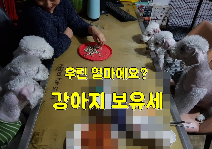  2020년 동물보호법, 반려견보유세