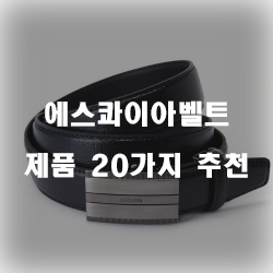  [상품순위] 에스콰이아벨트 제품 순위~