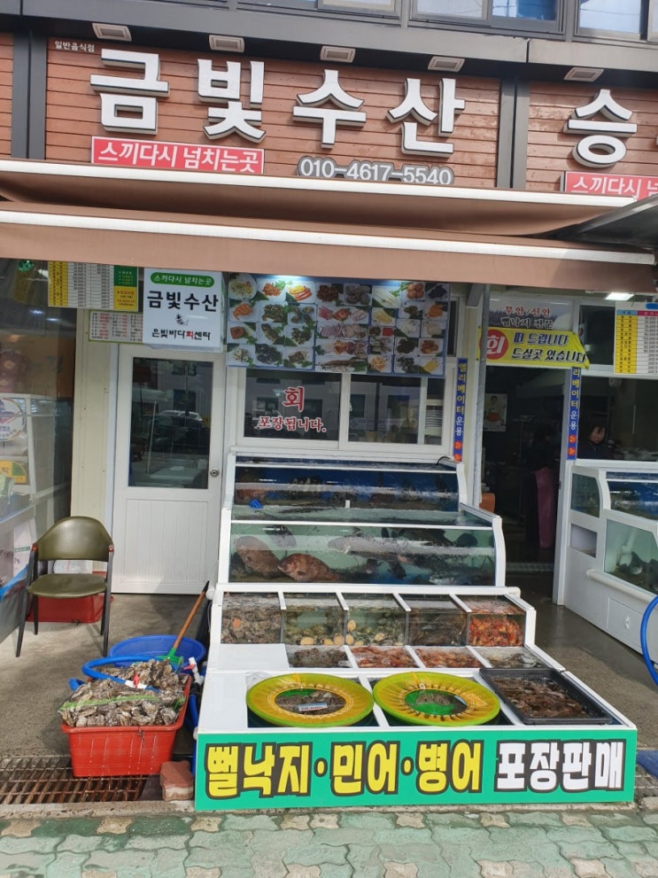  목포북항횟집 목포해상케이블카 맛집 금빛수산 현지인 추천