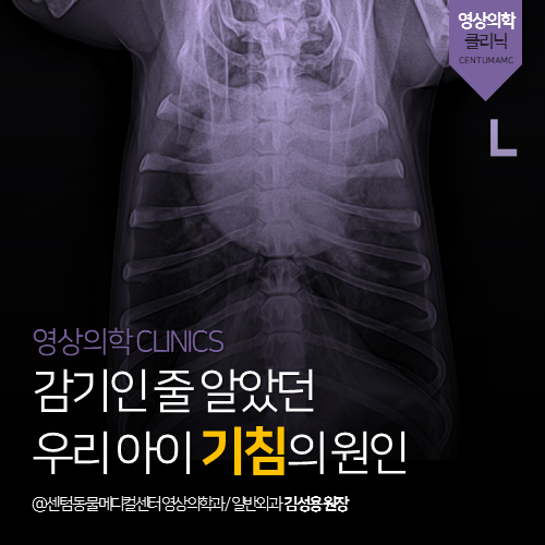  [영상의학과] 감기인 줄 알았던 우리 아이 기침의 원인 (부산 수영구 광안동 남천동 망미동 민락동 수영동 24시 동물병원)