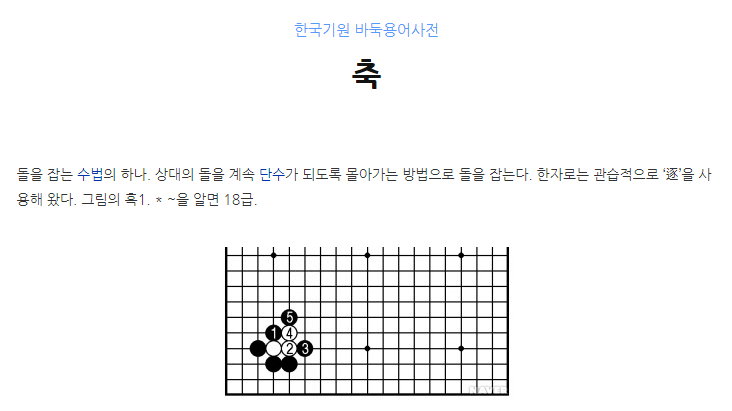 바둑 두는법 5편 - 축 : 네이버 블로그