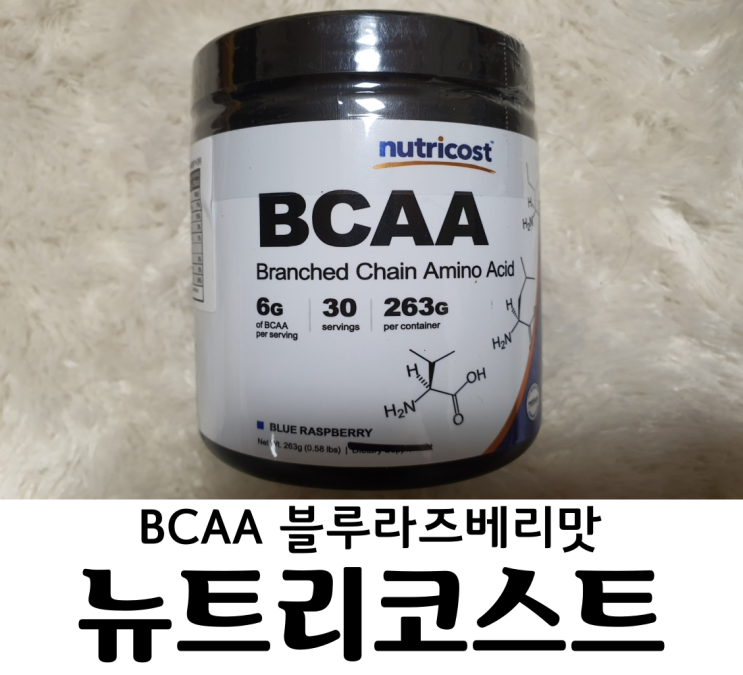  뉴트리코스트 BCAA 블루라즈베리맛 필수 아미노산이 들어있는 헬스보충제! 단백질 보충제