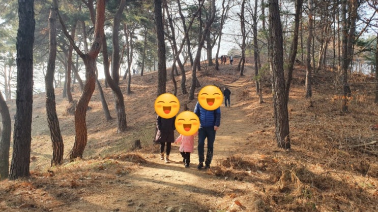  대전&청주 드라이브코스 대청호 "더 대청호카페"