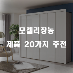  저렴한 모젤리장농 상품 모음 추천 보고가세요~
