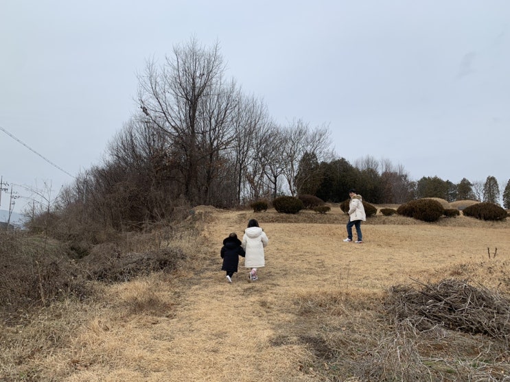  [설날] 설날 성묘 다녀오는길