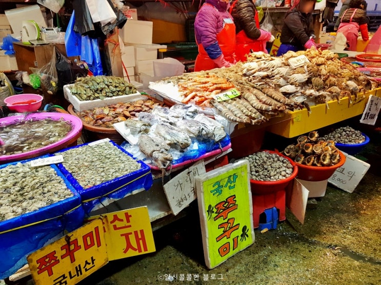  인천가볼만한 곳 소래포구 종합어시장, 먹거리, 주차팁