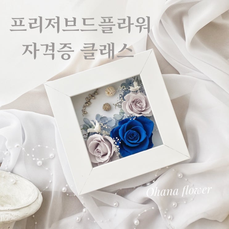  아로마프리저브드플라워 자격증클래스 후기  :: 부산 수영 해운대 플라워스튜디오 Ohanaflower