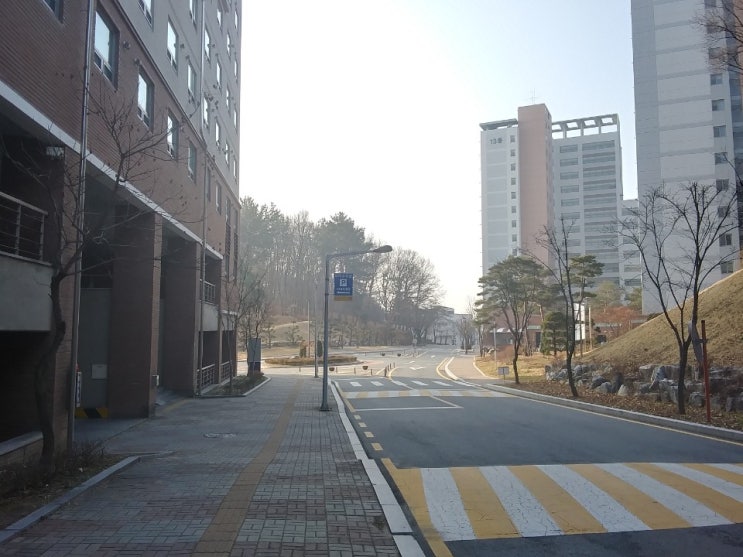  설을 맞이하는 아싸