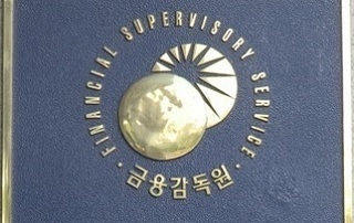 금융당국 보험사 ‘지각’ 질병 보험금 미지급 차단 금융당국 보험사 ‘지각’ 질병 보험금 미지급 차단