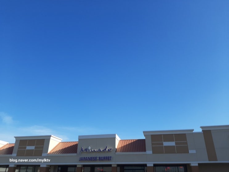 뉴욕 롱아일랜드: 미세먼지 없는 동네 자랑: 파란 하늘: 코발트 색 하늘